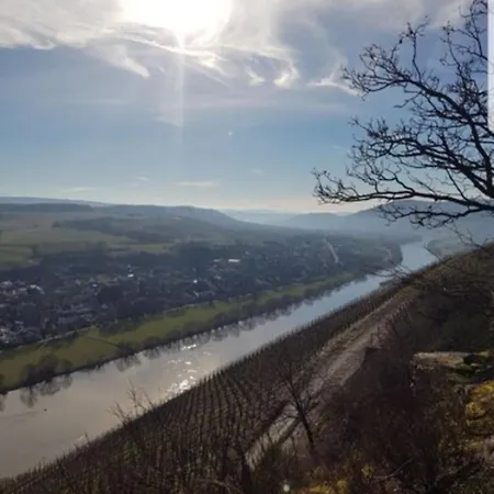 Vacation Mosellage Brauneberg