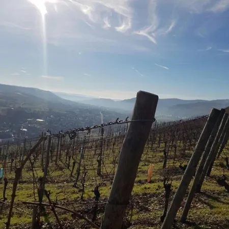 Vacation Mosellage * Brauneberg